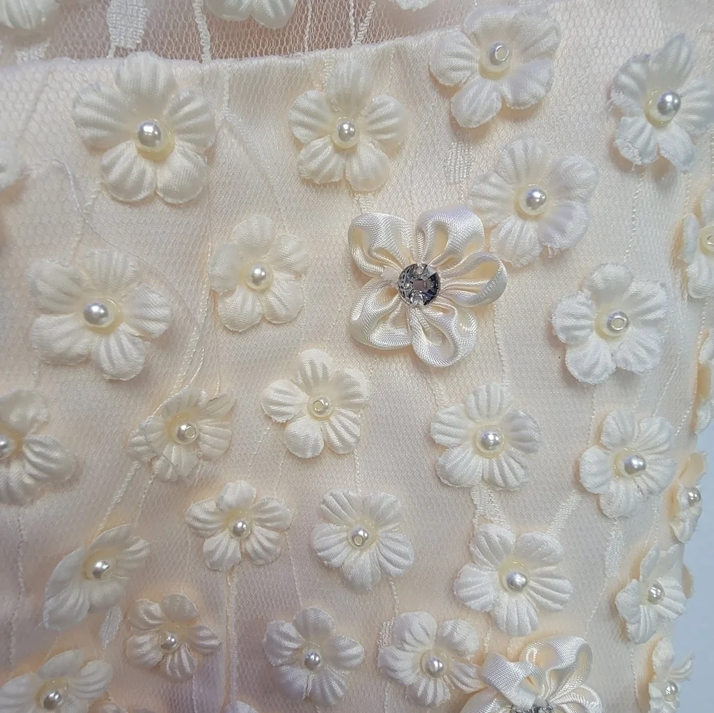 TS COUTURE Women's Size 2/4 Sleeveless Dress, Lined, Tulle skirt, Embroi…